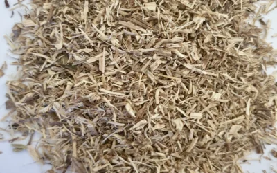 Isırgan Kökü Faydaları, Nasıl Kullanılır?