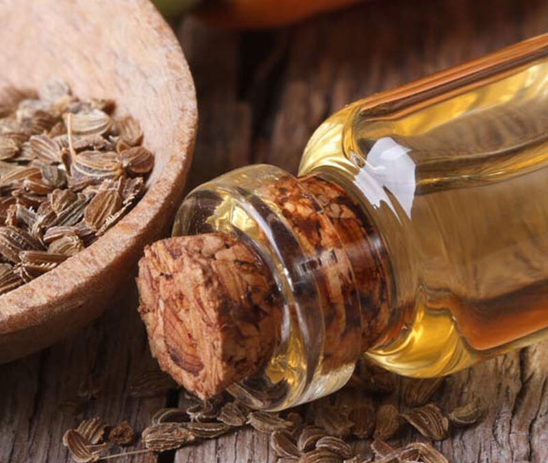 Kereviz Tohumu Yağı Ne İşe Yarar?