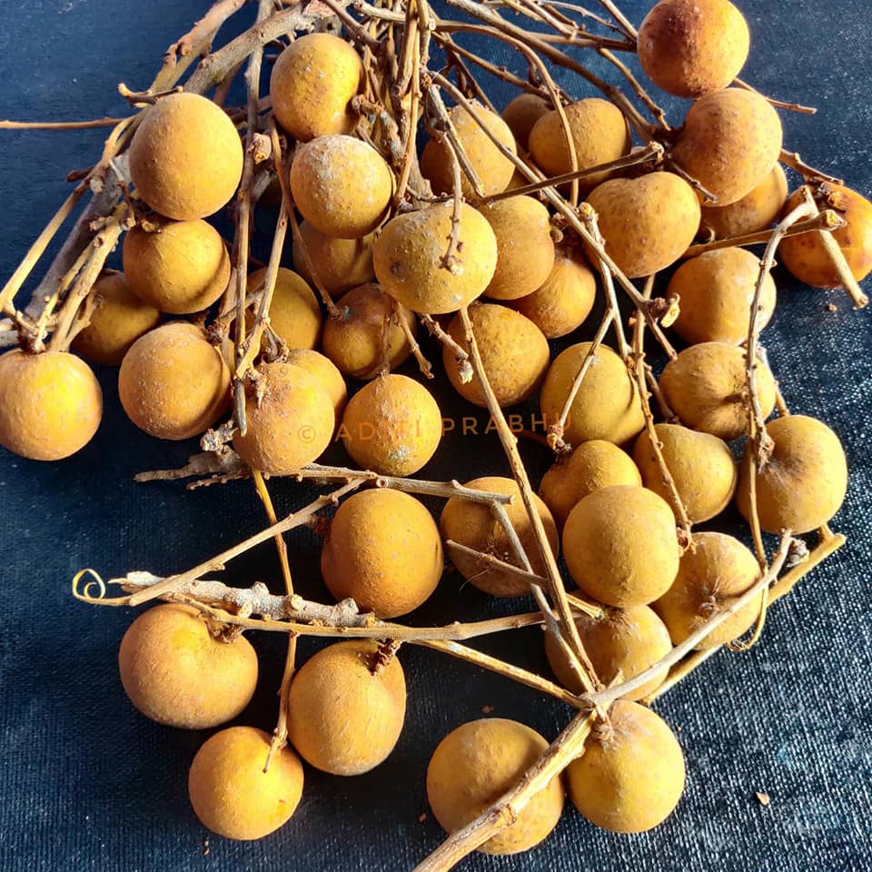 longan sirkesi faydaları