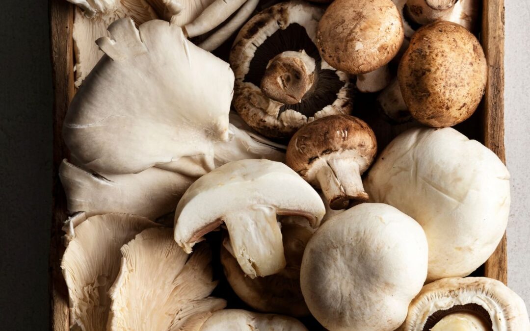 Mantarlar Keto Dostu mu? Hangi Mantarlar Ketojenik?