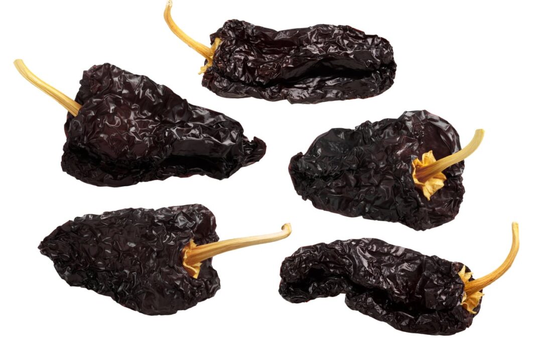 mulato biberi özellikleri