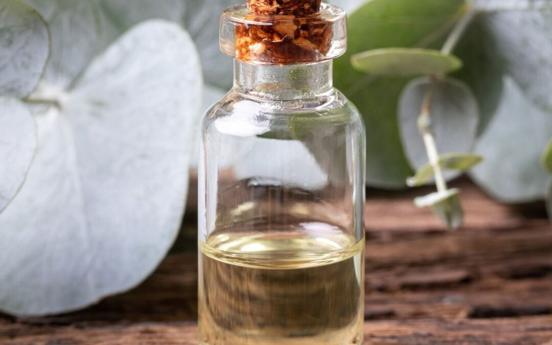 Okaliptüs sirkesi nasıl yapılır