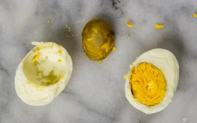 Yumurtada Demir Sülfür Oluşumu