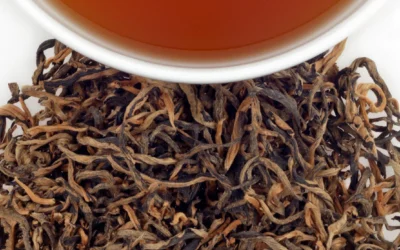 Yunnan Çayı Özellikleri, Yunnan çayı Ağacı