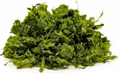 Aonori Nedir? Nasıl Kullanılır?