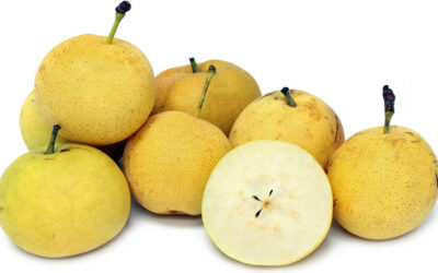 Atago Kikisui Armudu (Japon Armudu) Özellikleri