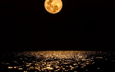 Ay Takvimi Nedir? Nasıl İşler?