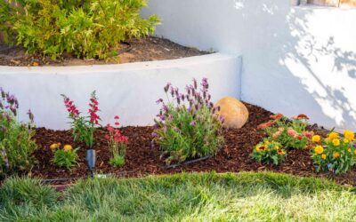 Bahçe Ekim Yatağı Nasıl Hazırlanır?