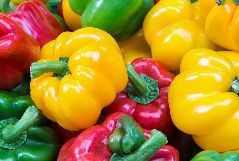 California Bell biberi tohumu