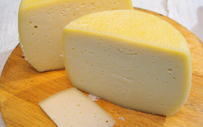 Jersey Sütünden Peynir Yapımı