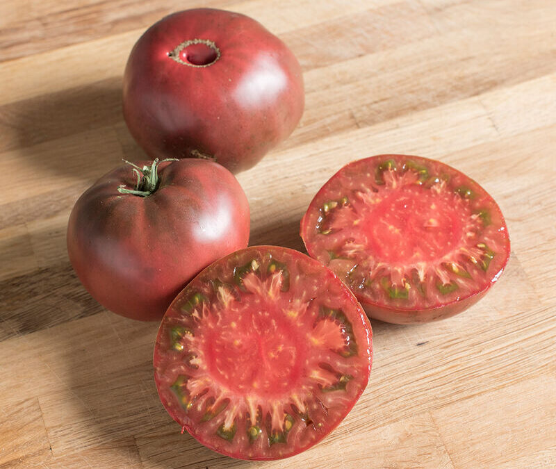 Mor Cherokee Domatesi tohumu