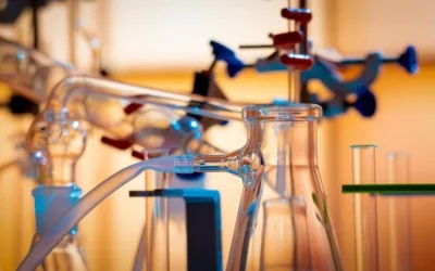 Morfolojik Sentez Tekniği Nedir?