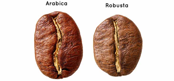 Robusta ve Arabica Kahve Farkı