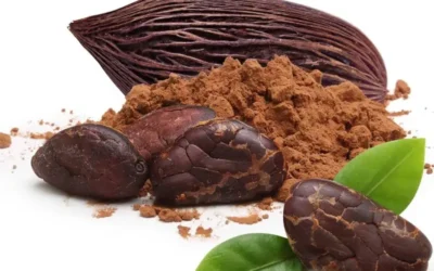 Teobromin Nedir? Teobromin Zehirlenmesi