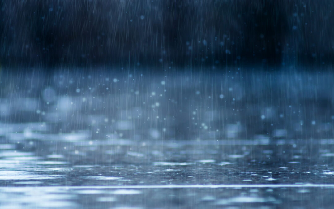 Yağmur Suyu Faydaları