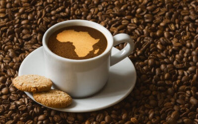 Cafe Touba Nedir? Nasıl Yapılır?