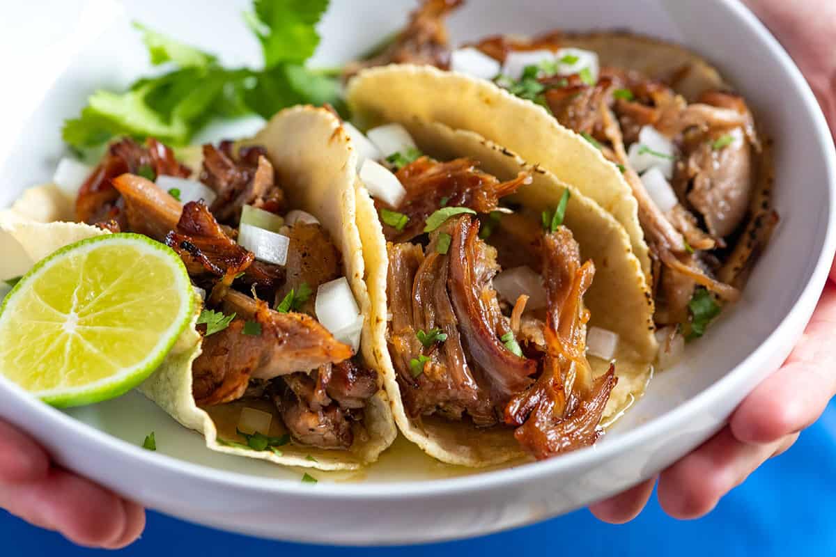 carnitas tarifi