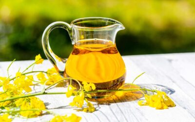 Kolza Yağı Nedir? Sağlıklı mı?