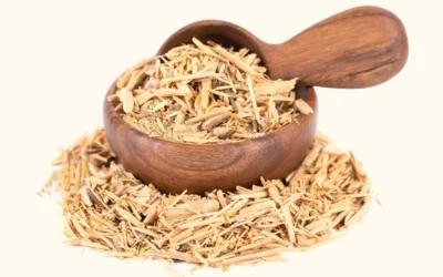 Muira Puama Nedir? Muira Puama Faydaları