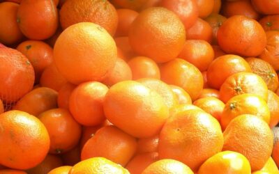 Murcott Mandalina Özellikleri, Çekirdekli mi?