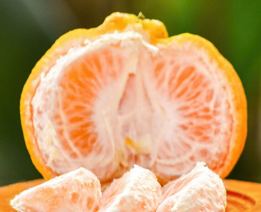 Ponkan Nedir? Ponkan Özellikleri