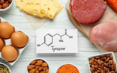 Tyrosine Nedir? L-Tyrosine Ne İşe Yarar?