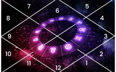 1. Ev Boş Ne Demek?