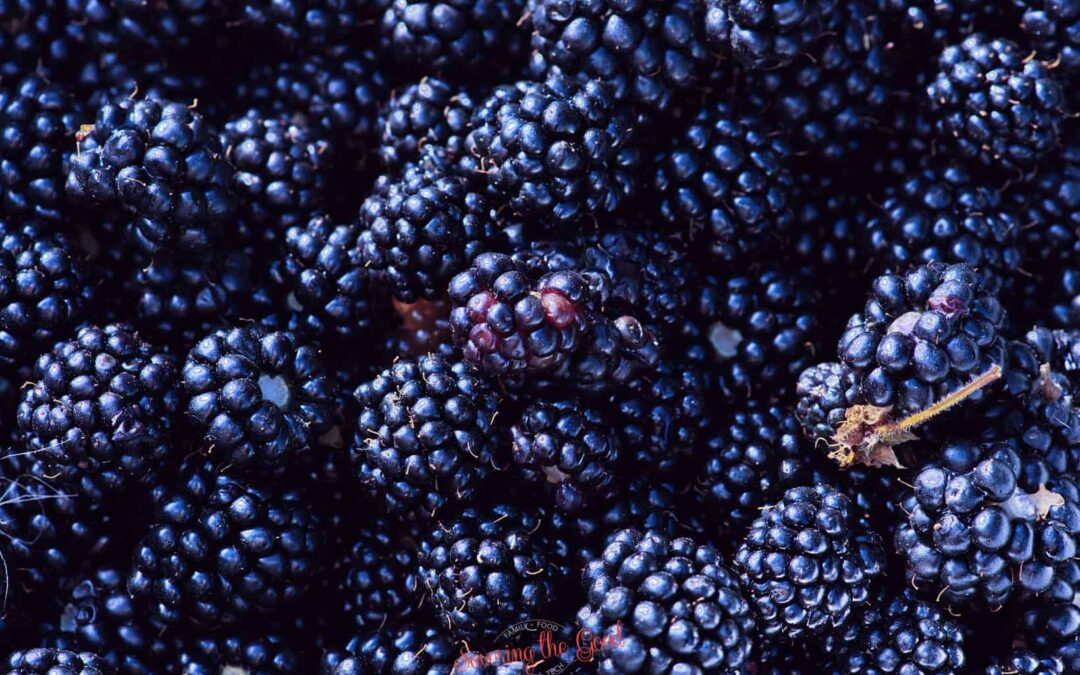 Anthocyanin Nedir? Anthocyanin Zararları