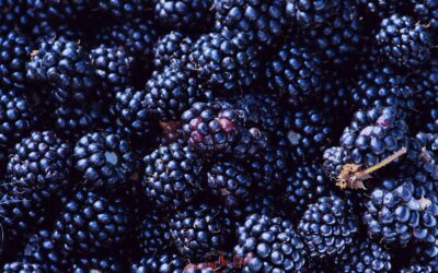 Anthocyanin Nedir? Anthocyanin Zararları