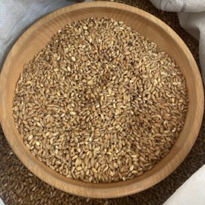 Atalık Tohum Karakılçık Buğdayından KÖFTELİK Bulgur 500 gr KÖY BULGURU