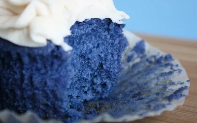 Brilliant Blue E133 Neyden Yapılır? Zararları