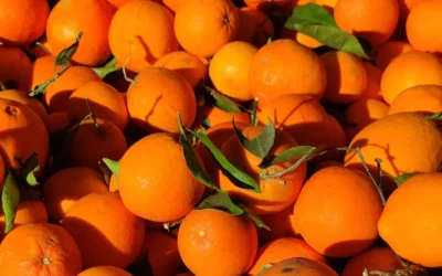 Diyabet Hastaları Portakal Yiyebilir mi?