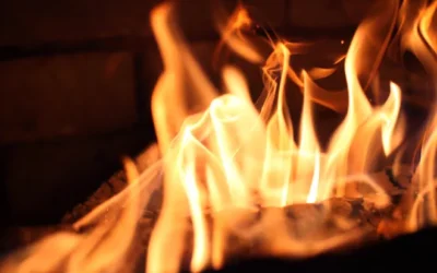 Evde Kekik Yakmak Ne İşe Yarar?