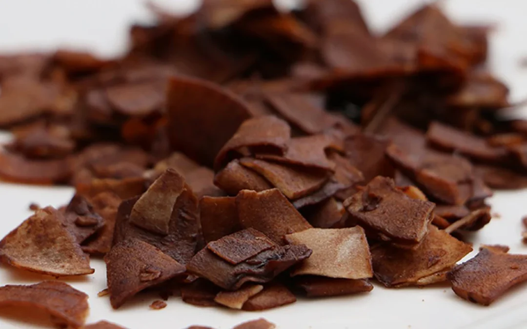 Kakaolu Hindistan Cevizi Cipsi