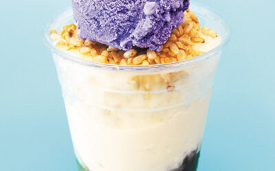 Manolya Dondurması Tarifi