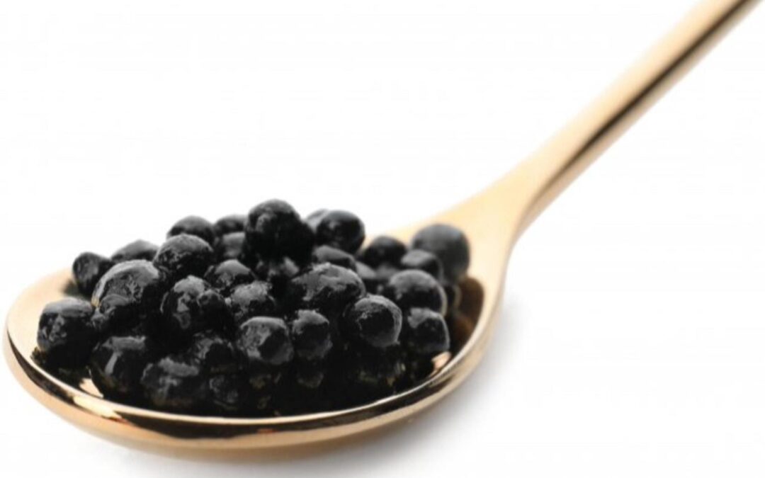 Osetra Havyarı faydaları