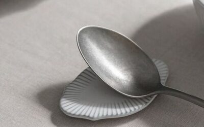 Parizyen Kaşığı Nedir?