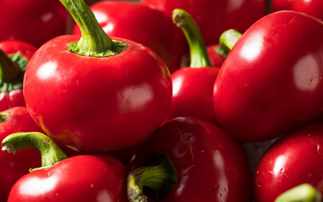 Pimiento biberi cherry pepper