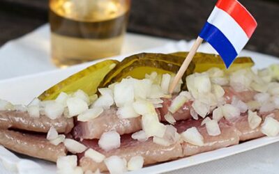 Hollandse Nieuwe Nedir?