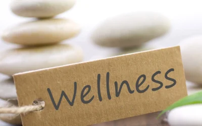 Wellness Şirketleri