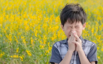 Bahar Alerjisi Beslenme İlişkisi