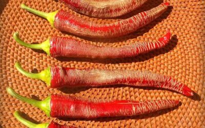 Çara Biberi Tohumu Ne Zaman Ekilir? Acı mı?