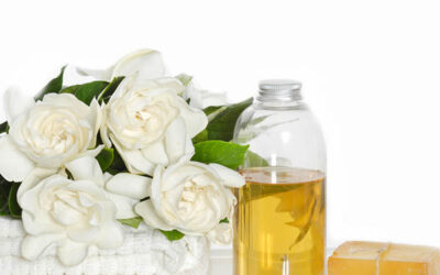 Gardenya Yağı: Gardenya Kokusu Neye Benzer?