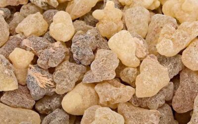 Styrax Nedir? Styrax Nasıl Kokar?