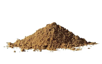 Beyaz Meşe Kabuğu Tozu Faydaları Neler?