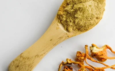 Cordyceps Mantarı Tozu Faydaları Neler?