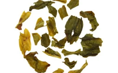 Darjeeling Elixir Nedir?