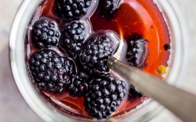 Karadut Turşusu Tarifi