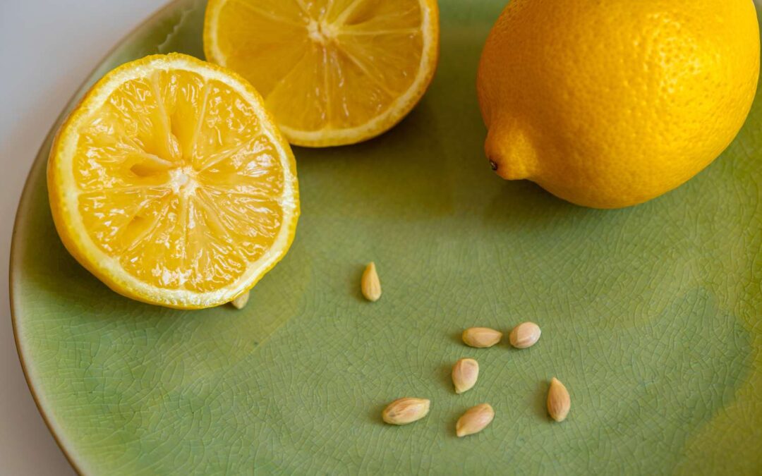 Limon çekirdeği yemek zararlı mı