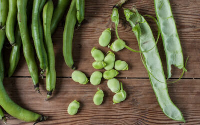 Bakla Ne Zaman Ekilir? Ne Zaman Yenir?